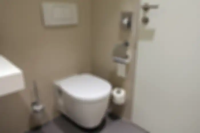 Ilustrasi Toilet