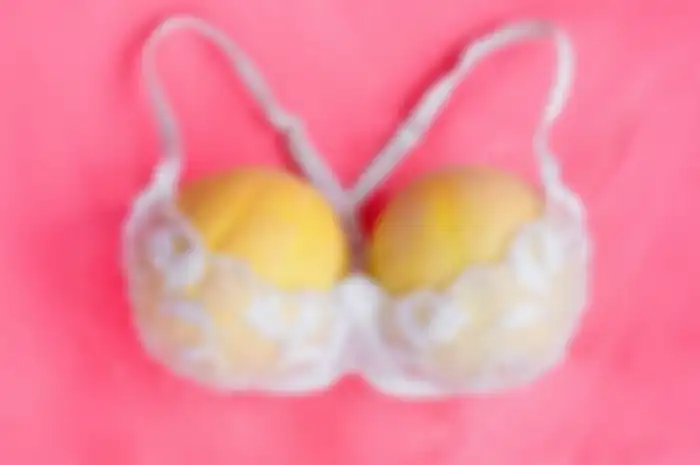 Ilustrasi bra