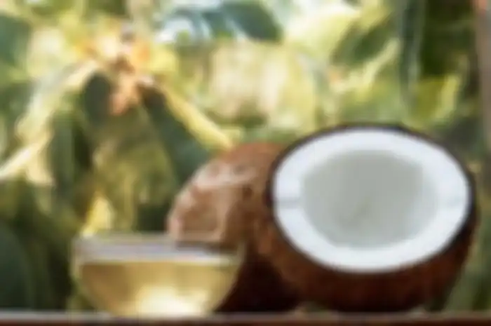 minyak kelapa