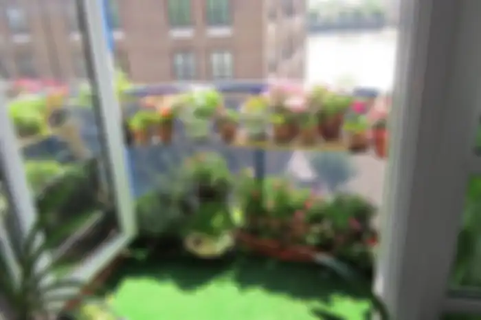 Berkebun di apartemen.