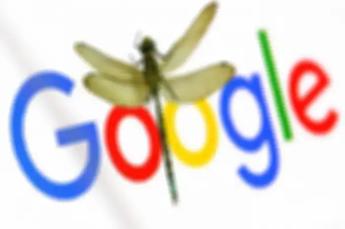 proyek dragonfly China