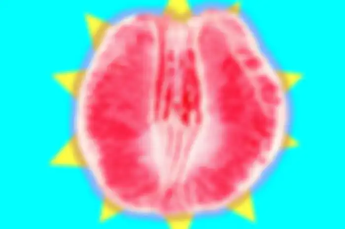 Ilustrasi Vagina