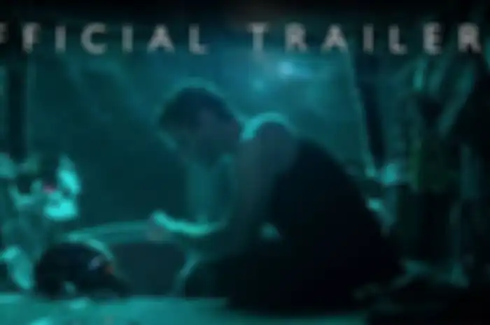 Avenger “endgame”
