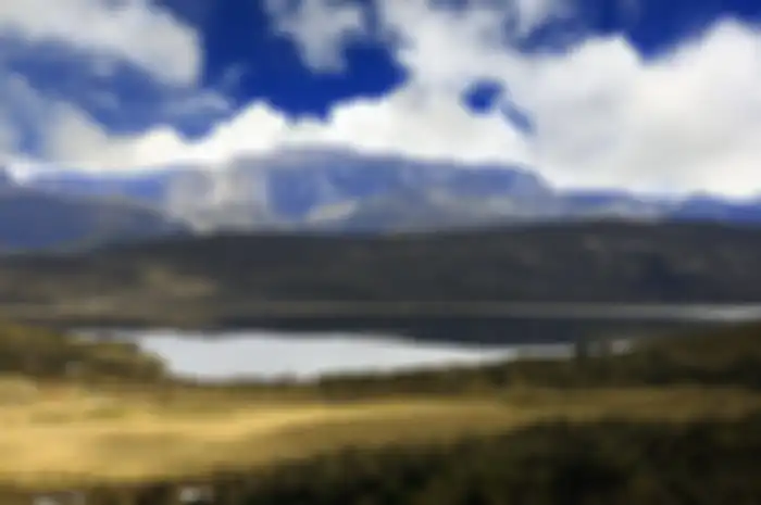 Danau Habema di Wamena