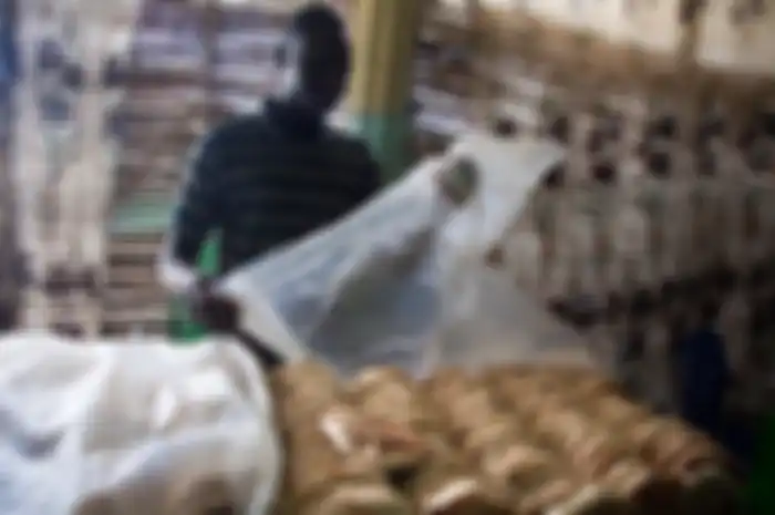 Harga roti Sudan jadi Rp 900 perak, Presiden terancam digulingkan.