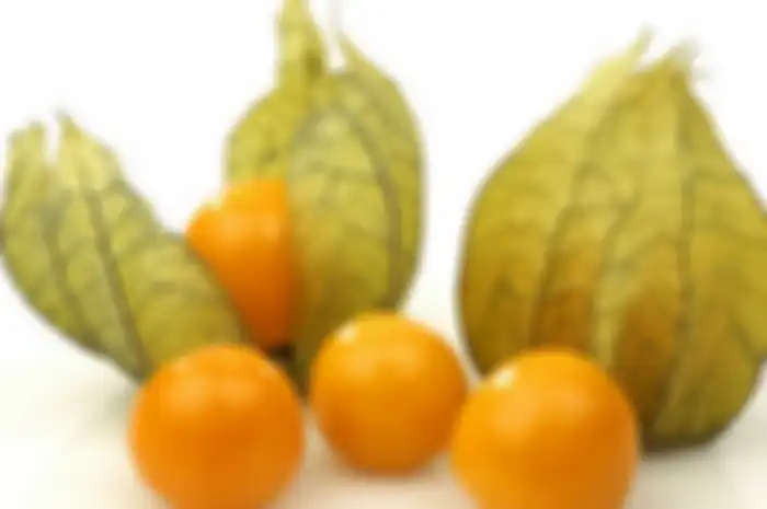 Ceplukan