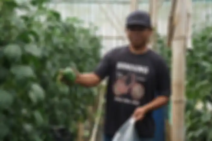 Encomotion saat ini digunakan di sebuah green house di Cisarua, Bandung