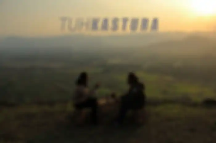 Tuhkastura