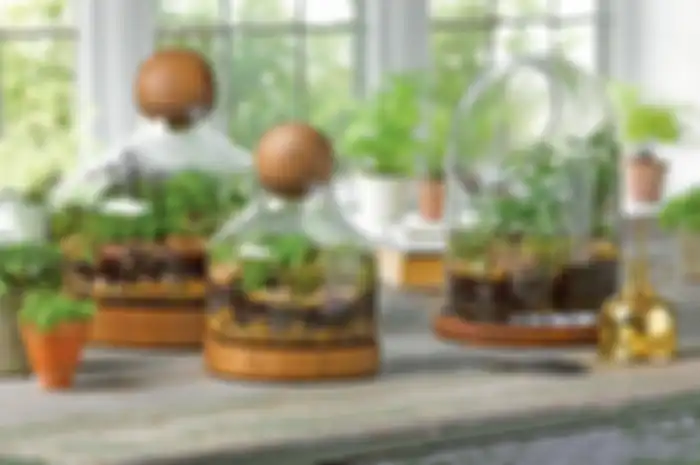 ilustrasi terarium