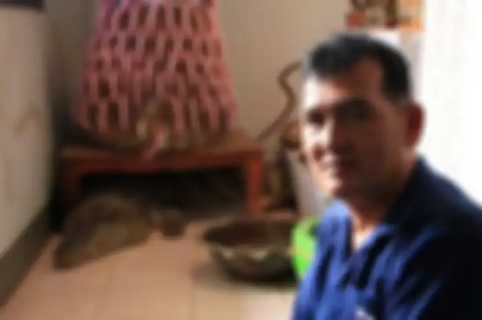 Nathip dan buaya bernama Thong