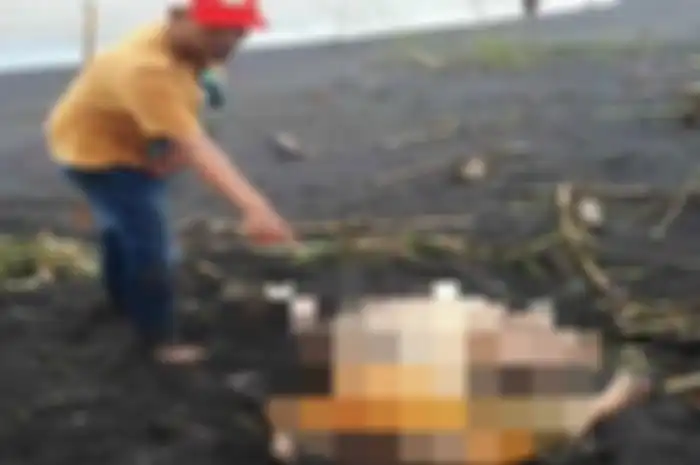 Penemuan mayat perempuan di pantai Paseban, Kencong, Jember. Polisi menduga lokasi penemuan mayat ini hanyalah tempat 'pembuangan' mayat tersebut. Sementara, perempuan itu diduga tewas di tempat lain. 