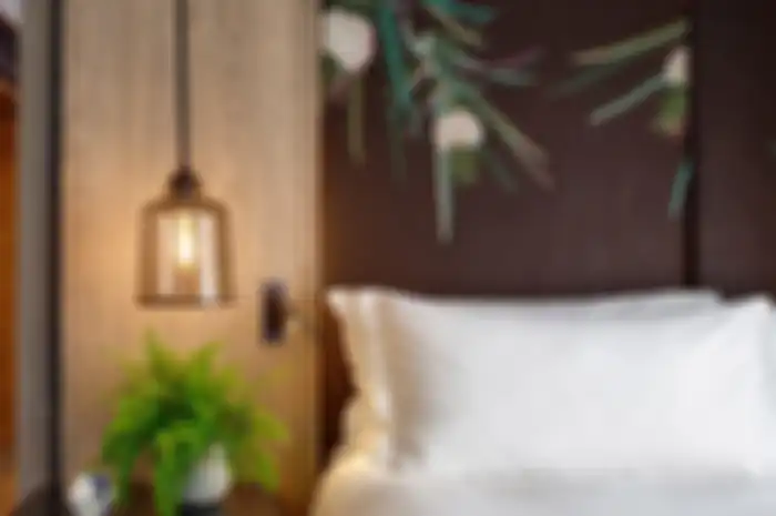Suite tamu vegan