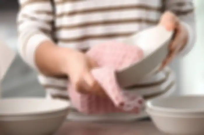 kuman di dapur