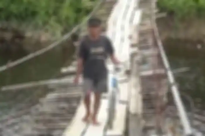 Meski dihadang kawanan buaya raksasa, warga Pasangkayu, Sulawesi Barat, nekat bertaruh nyawa melintasi jembatan gantung saat kawanan buaya tengah lalu lalang di bawah bentangan jembatan.