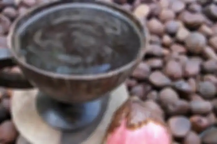 Biji Salak