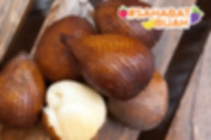 Manfaat buah salak
