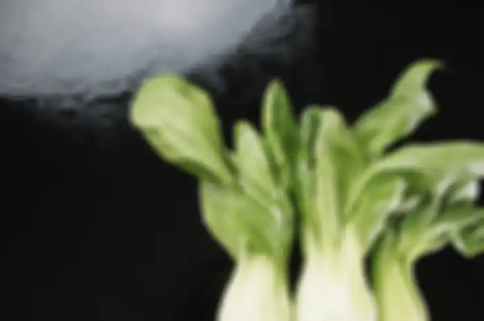 bok choy