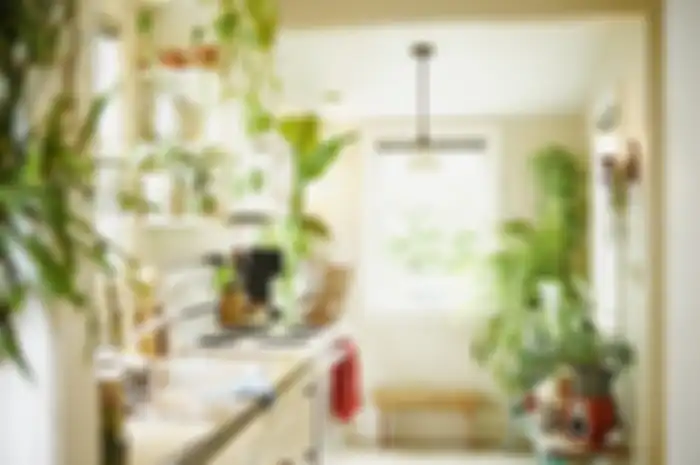 Dapur dengan tanaman
