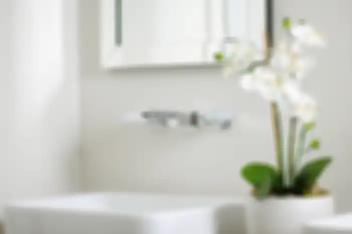 Anggrek yang diletakkan pada kamar mandi