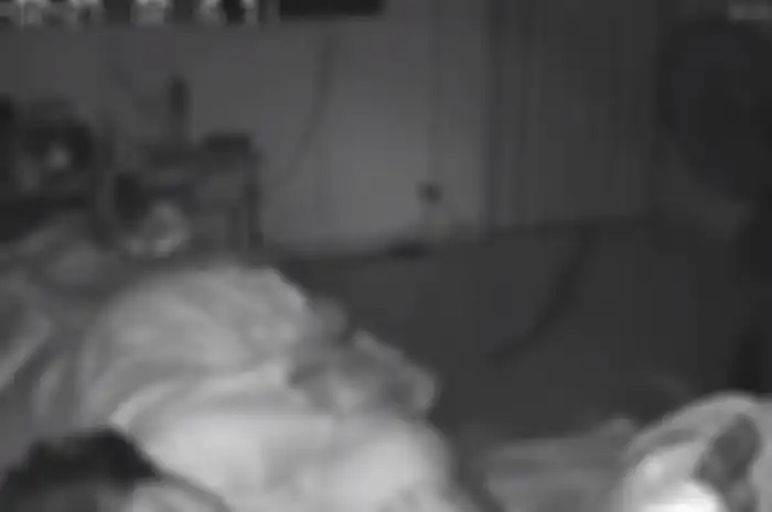 Ngeri! Tengah Tertidur Lelap, Seorang Nenek Dipatuk Ular Kobra