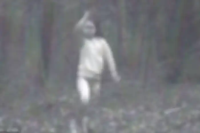 Niat Hati Ingin Awasi Hewan Buas dengan Menaruh Kamera di Depan Rumahnya, yang Muncul Justru Sosok Hantu Gadis Kecil Cantik!