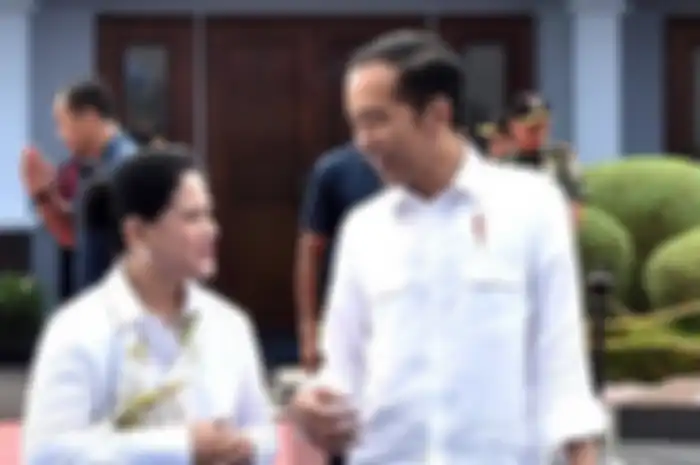 Presiden Jokowi, Iriana