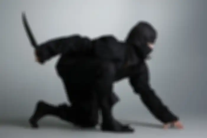Ninja