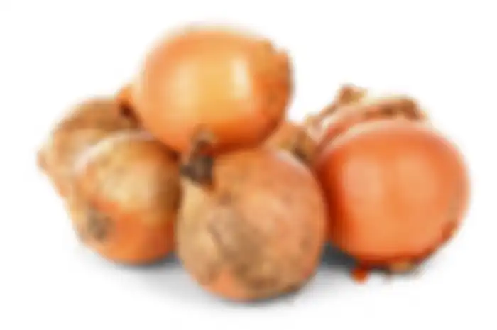 Bawang bombay