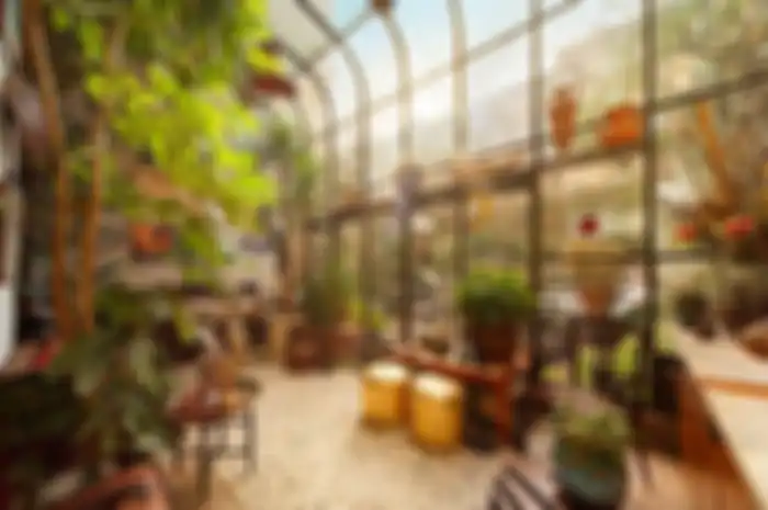 Taman indoor pada rumah.