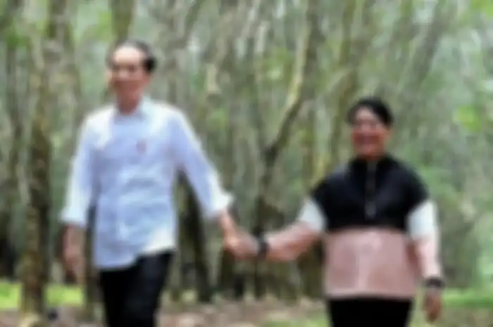 Jokowi, Iriana