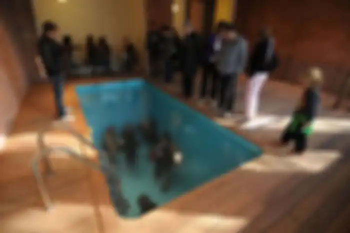 Kolam renang palsu buatan seniman asal Argentina