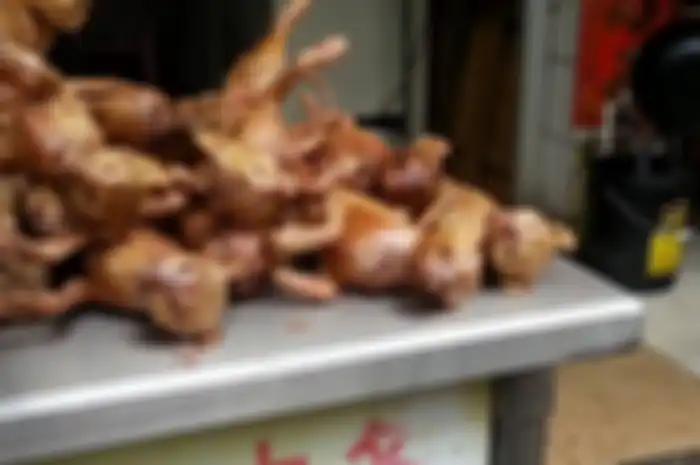 Daging kucing