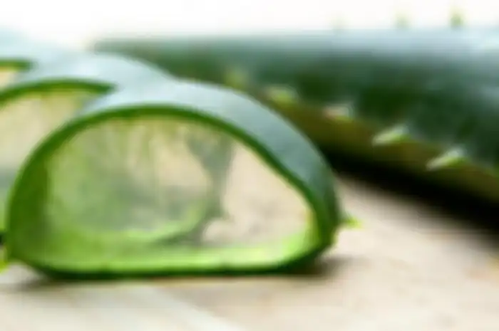 Gel lidah buaya bisa kamu gunakan untuk panjangkan bulu mata