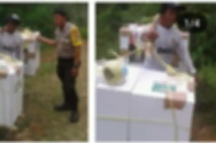 Bapak yang memikul kotak suara dengan lokasi yang cukup jauh karena jalan tak memadai dilewati mobil