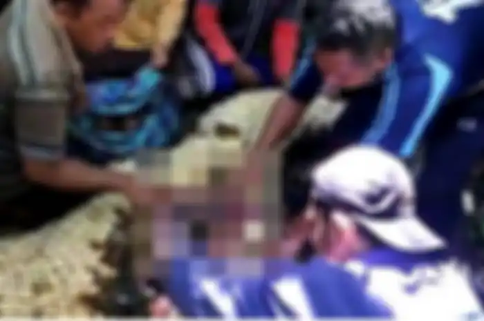 Foto tangkapan layar video viral akun facebook Mohamad Tomia, tampak warga mengeluarkan potongan tubuh manusia dari perut buaya