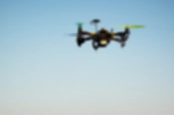 Teknologi drone kembali bantu temukan tanaman yang diduga telah punah