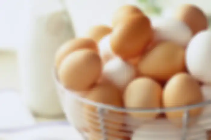 Telur 