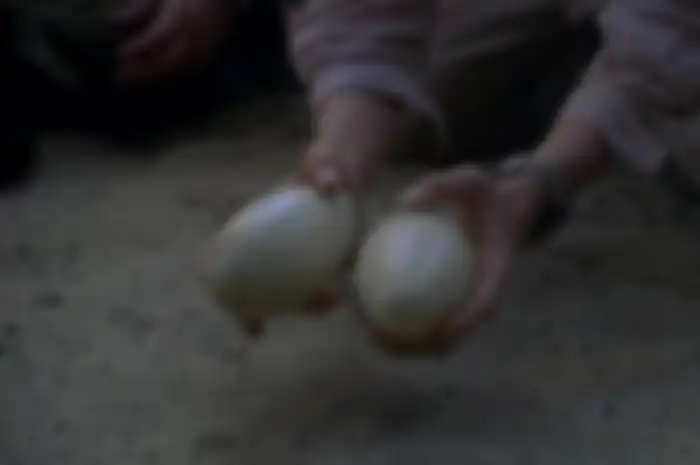 Telur raptor di film Jurassic Park 3
