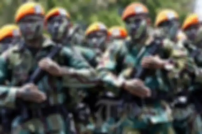 Paskhas TNI AU