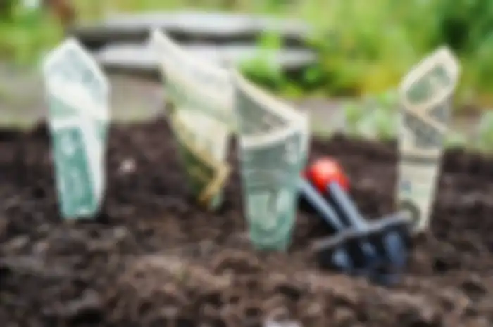 Ilustrasi investasi