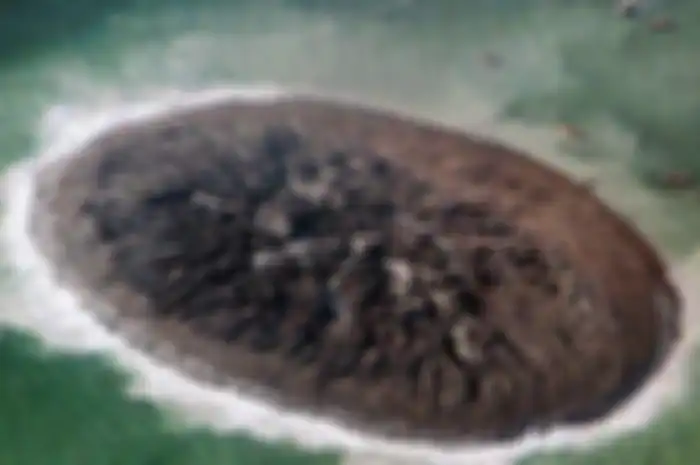 Pulau bermeja