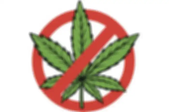 Aplikasi jual-beli marijuana resmi dilarang masuk ke Google Play Store