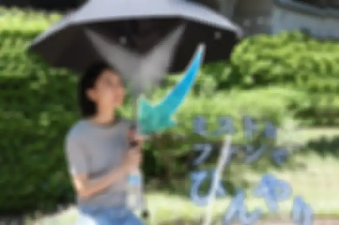 Fanbrella