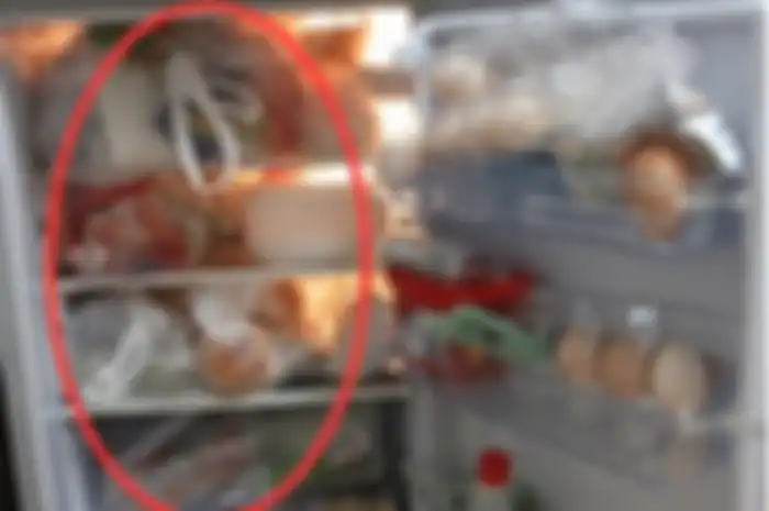 Menyimpann makanan dengan plastik di kulkas.