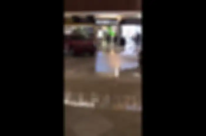 Viral musisi yang bawakan lagu Titanic di mall yang banjir.