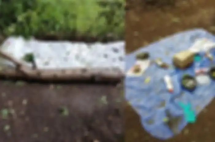 Ibu ini Terkejut Temukan Tempat Prostitusi di Tengah Hutan Dekat dengan Sekolah SD Anaknya