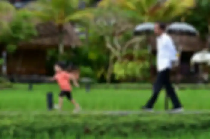 Jokowi bermain di tepi sawah dengan sang cucu Jan Ethes Srinarendra di kawasan Ubud, Bali, Jumat (14-6-2019).