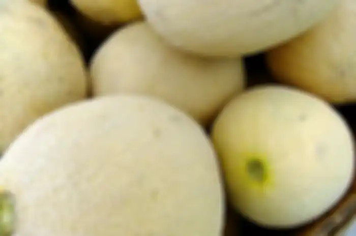 Buah melon. 