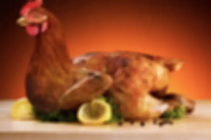 Ilustrasi daging ayam