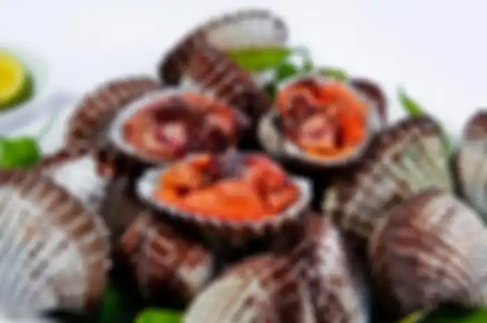 Kerang Darah